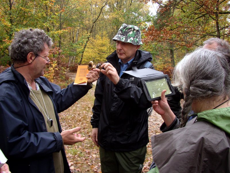 Champignons Le Mesle 09